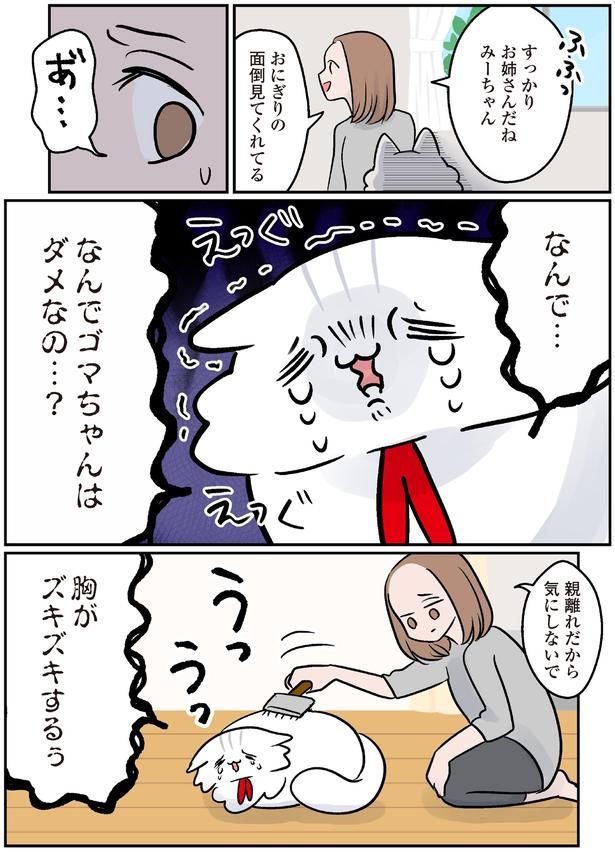 なんでゴマちゃんはダメなの…？ （C）こばん／KADOKAWA