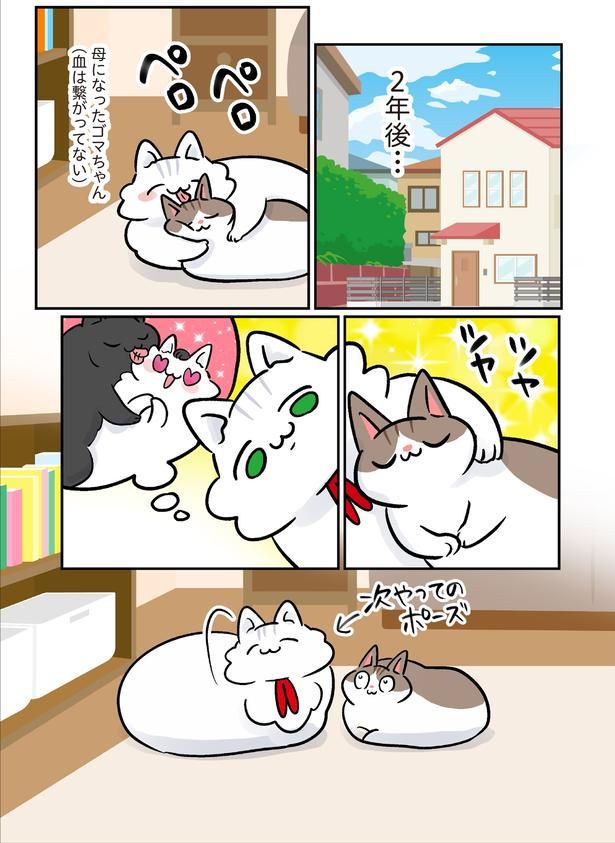 母になったゴマちゃん （C）こばん／KADOKAWA