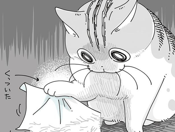 粘着性のあるものが… （C）キュルZ／KADOKAWA