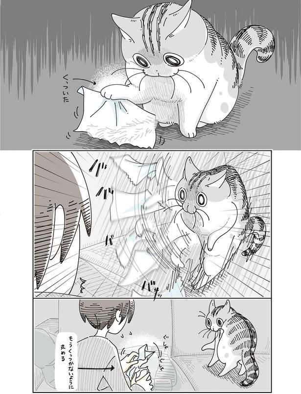 くっついた （C）キュルZ／KADOKAWA