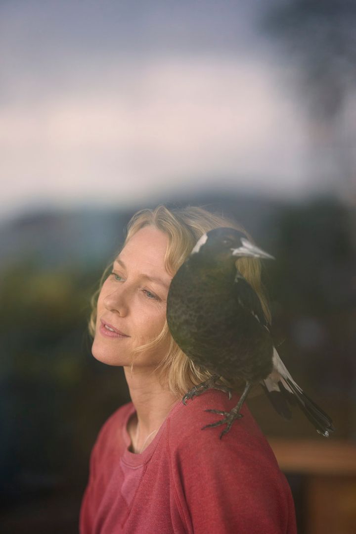 ナオミ・ワッツ主演。Netflix映画『ペンギンが教えてくれたこと』独占配信中