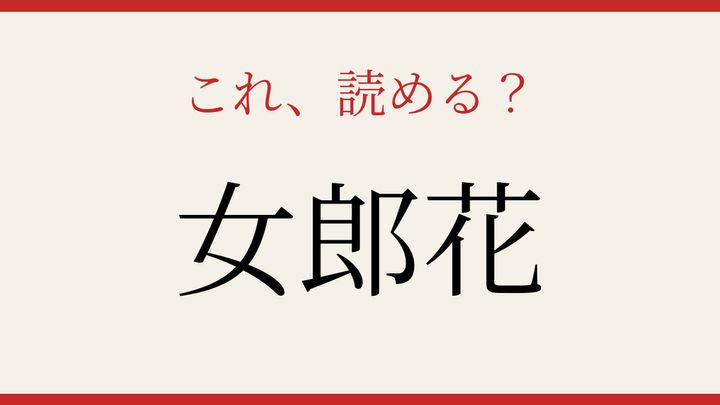 【難読漢字】この読み方、知ってる？秋の野に咲く花の問題画像