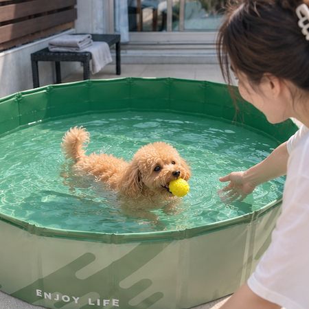 【鳥取県倉吉市】夏の思い出に！関金温泉「HOTEL星取テラスせきがね」夏限定イベント＆サービスを開始
