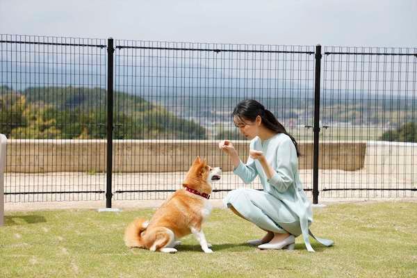 【鳥取県倉吉市】夏の思い出に！関金温泉「HOTEL星取テラスせきがね」夏限定イベント＆サービスを開始