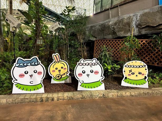 映画『ちいかわ 人魚の島のひみつ』の世界から飛び出してきたような、ハチワレ、うさぎ、ちいかわ、ラッコのキャラクターパネル。フラの衣装もかわいい！