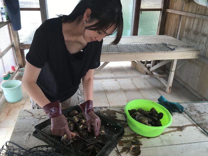 真珠養殖の仕事を手伝う尾崎ななみさん