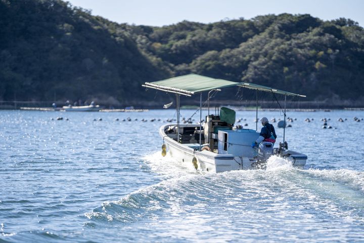 伊勢志摩の魅力を発信する尾崎ななみさん