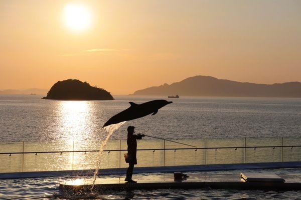 【香川県宇多津町】四国水族館が「夜の水族館」を開催！夜間照明と夕暮れ時のイルカショーを堪能