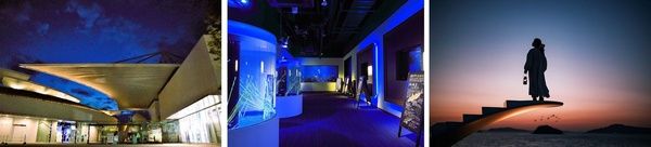 【香川県宇多津町】四国水族館が「夜の水族館」を開催！夜間照明と夕暮れ時のイルカショーを堪能