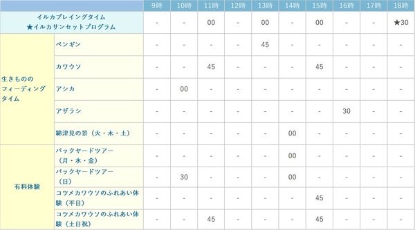 【香川県宇多津町】四国水族館が「夜の水族館」を開催！夜間照明と夕暮れ時のイルカショーを堪能