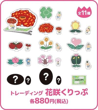 【東京都渋谷区・大阪府大阪市】はなかっぱの誕生日を記念し「はなかっぱ生誕祭」開催！ポップアップやX企画等を実施