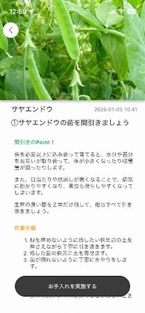 【東京都渋谷区】JR恵比寿駅直結の屋上農園「ソラドファーム恵比寿」がリニューアル