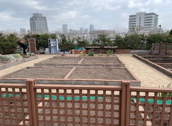 【東京都渋谷区】JR恵比寿駅直結の屋上農園「ソラドファーム恵比寿」がリニューアル