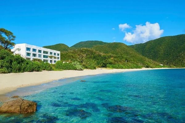 【鹿児島瀬戸内町】「THE SCENE」に、“泳がない・頑張らない”ウェルネスダイビングプラン誕生！