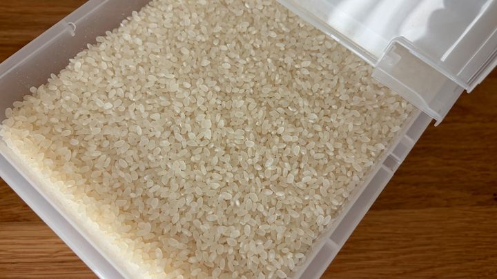 100均で見つけた米びつを使ってみた！ダイソー・セリア・キャン★ドゥを調査