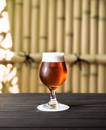 スプリングバレーブルワリー、秋の旬とクラフトビールを楽しむイベントを9月に開催