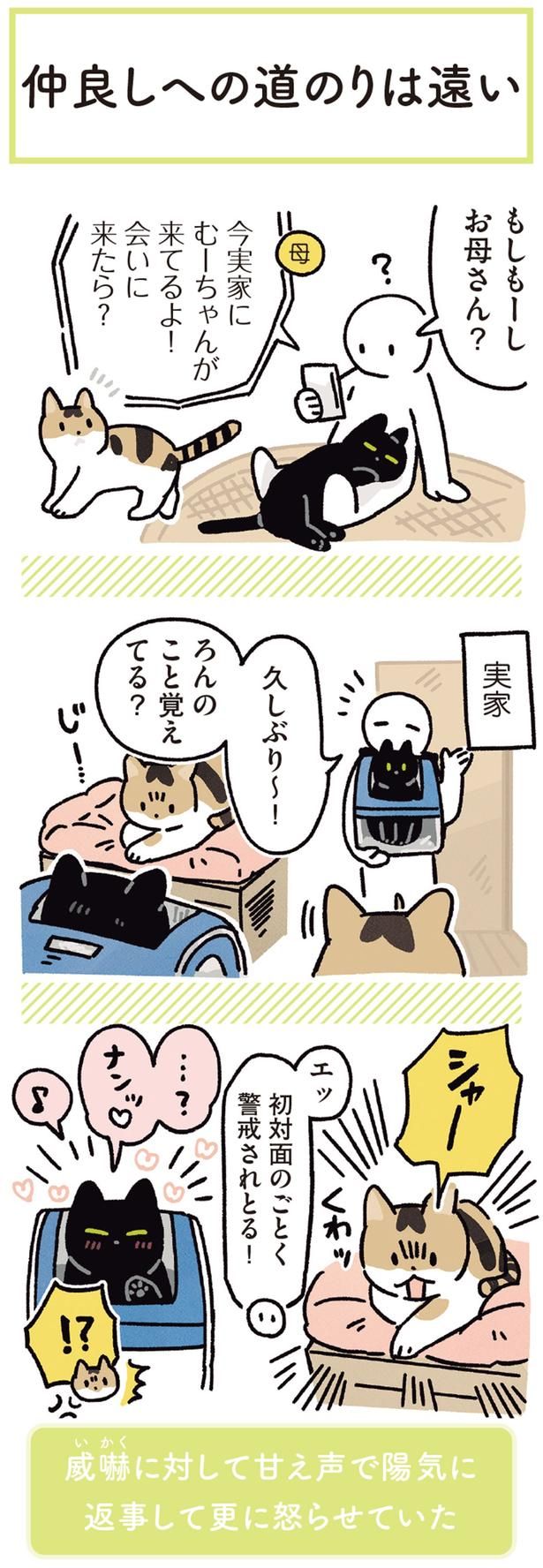 初対面のごとく警戒されとる！ （C）AKR／KADOKAWA