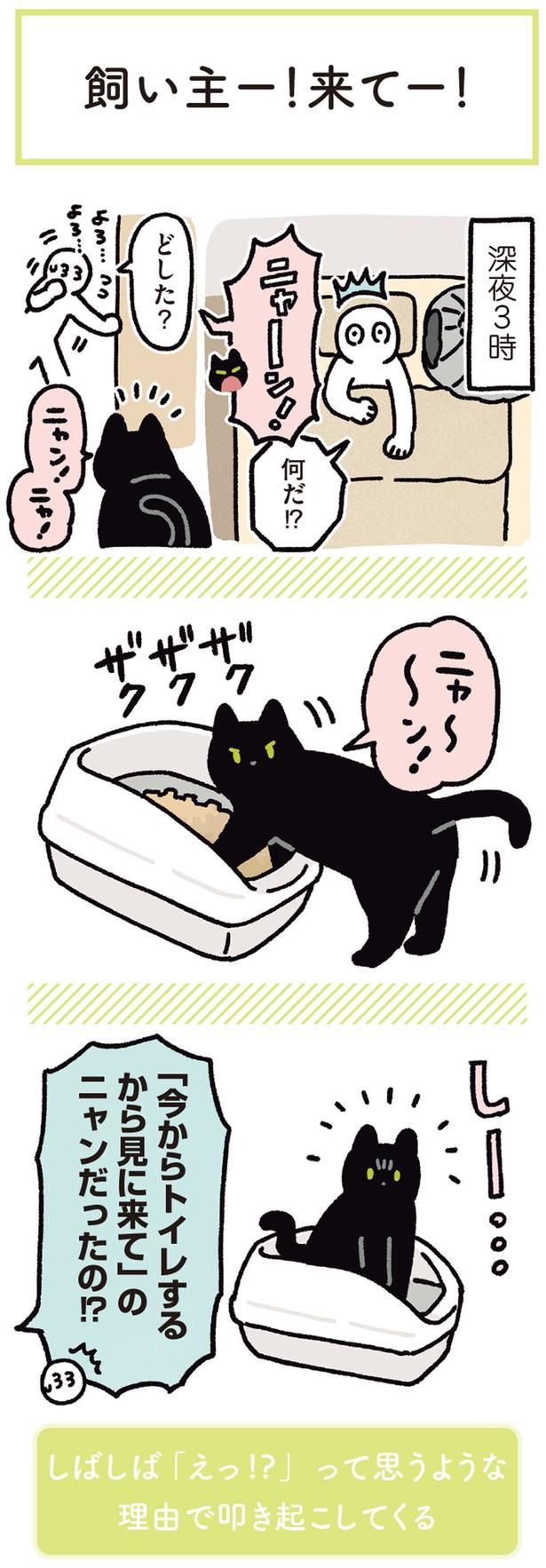 なんだ！？どした？ （C）AKR／KADOKAWA