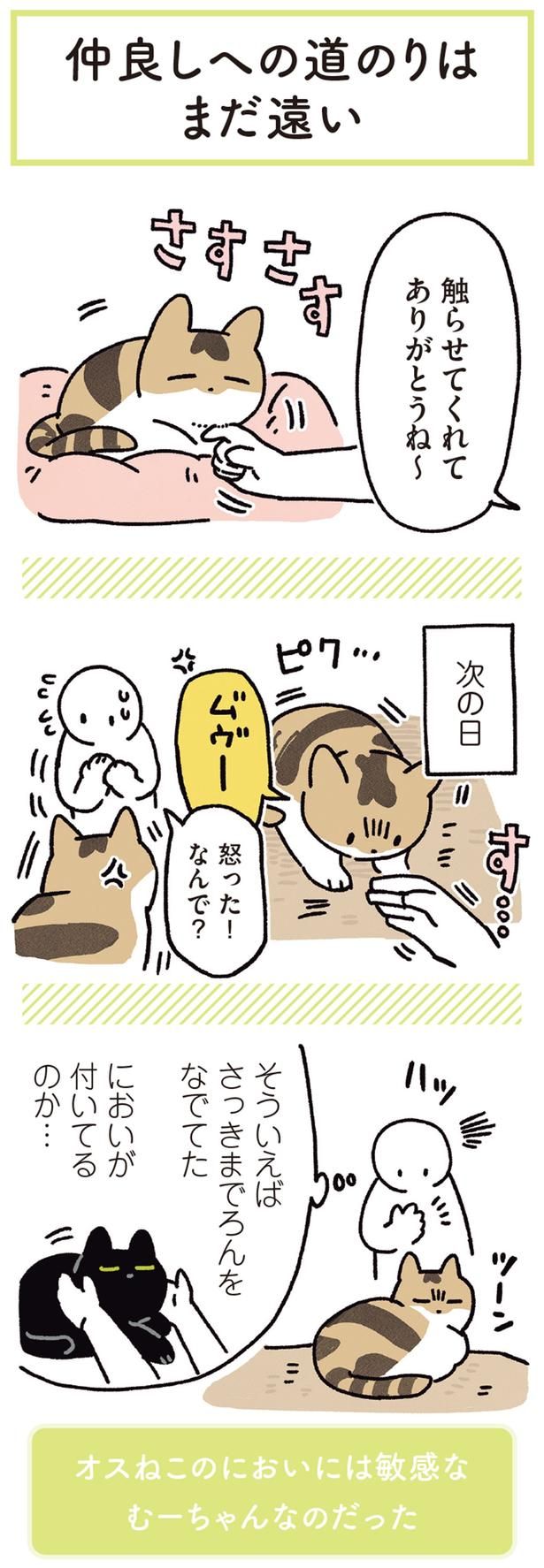 触らせてくれてありがとうね～ （C）AKR／KADOKAWA