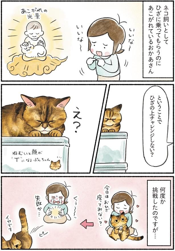ひざの上チャレンジしない？ （C）山麦まくら／KADOKAWA