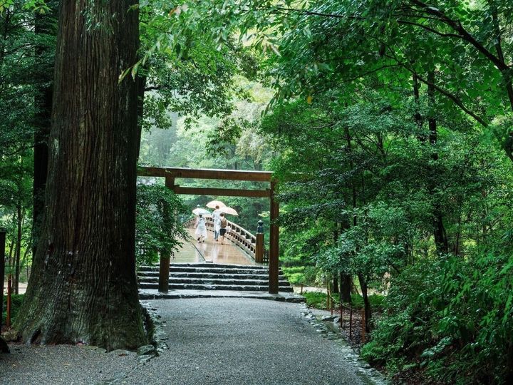 神社での突然の雨、ふと吹く風、生き物との遭遇……それは神様からの“サイン”かも？ 『神様がいる神社 いない神社』から、参拝時に現れる6つの「歓迎サイン」を紹介します。（画像出典：PIXTA）