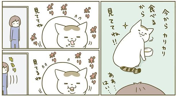 今からカリカリ食べるから （C）卵山玉子／KADOKAWA