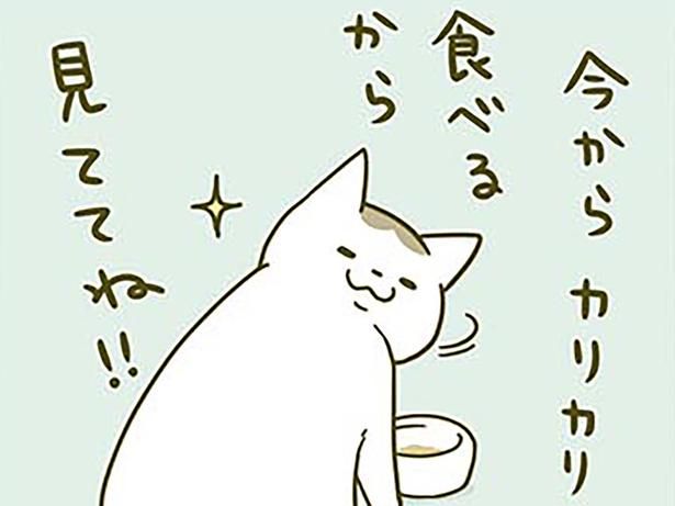 見ててね （C）卵山玉子／KADOKAWA