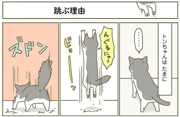 飛ぶ理由 （C）卵山玉子／KADOKAWA