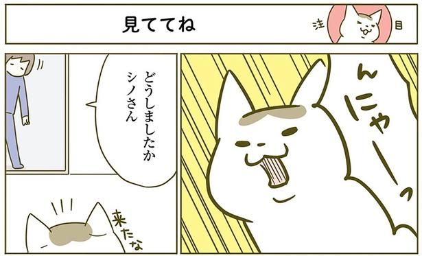 どうしましたか （C）卵山玉子／KADOKAWA