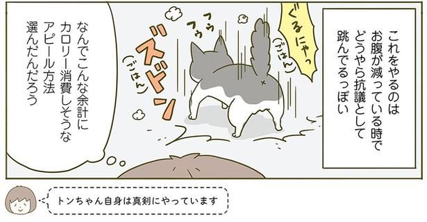 抗議として飛んでるっぽい （C）卵山玉子／KADOKAWA