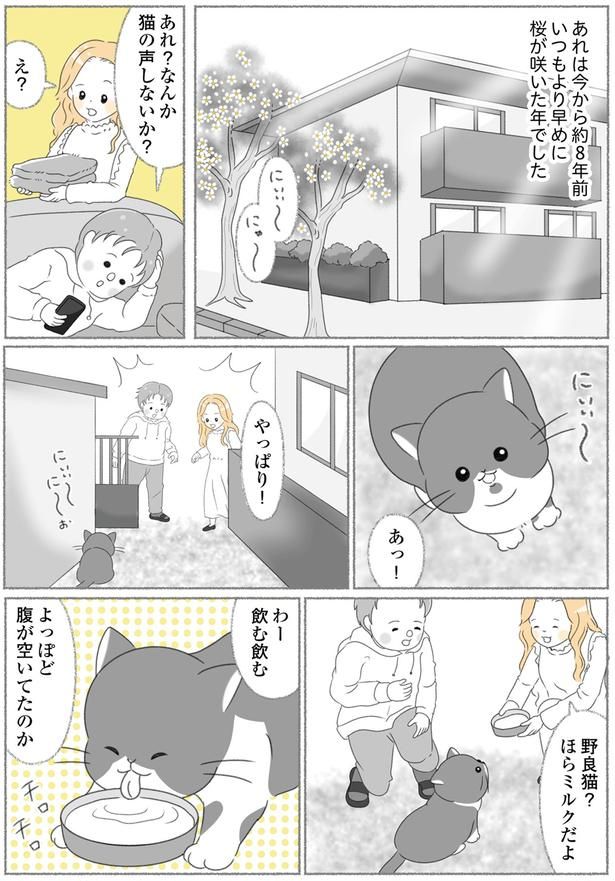 猫の声しないか？ （C）ゆきよみ、にゃんかつ／KADOKAWA