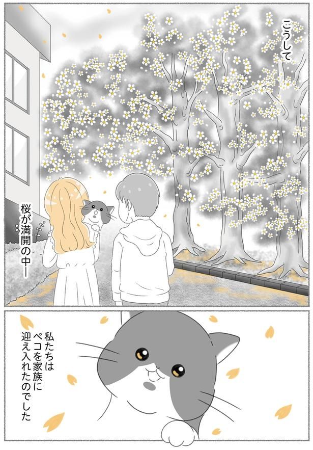 家族に迎え入れたのでした （C）ゆきよみ、にゃんかつ／KADOKAWA