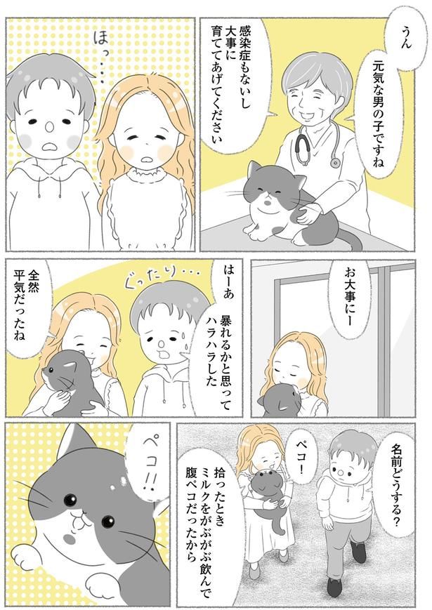 大事に育ててあげてください （C）ゆきよみ、にゃんかつ／KADOKAWA