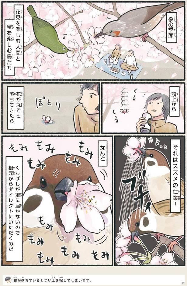 花が丸ごと落ちてきたら （C）piro piro piccolo／KADOKAWA