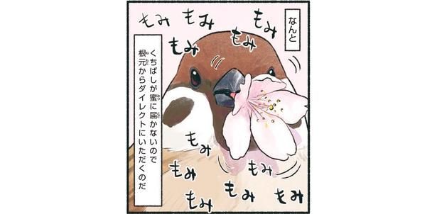 もみもみもみもみもみもみ （C）piro piro piccolo／KADOKAWA