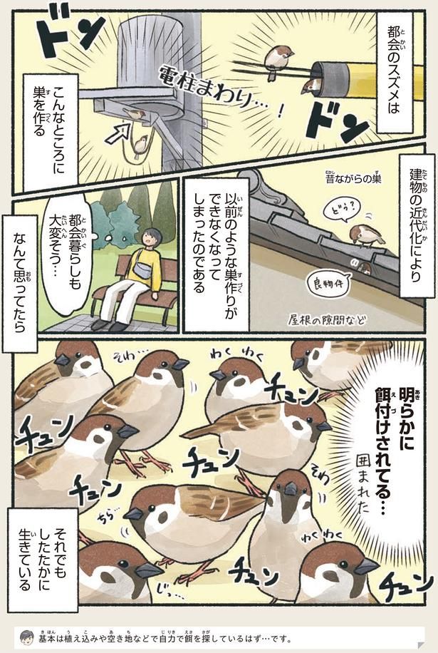 明らかに餌付けされてる… （C）piro piro piccolo／KADOKAWA