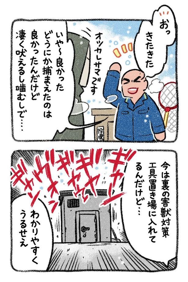 保護犬茶々のお話【第2話】(2) 画像提供：(C)ヨシモフ郎／KADOKAWA