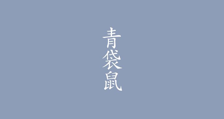 青袋鼠（せいたいねず）