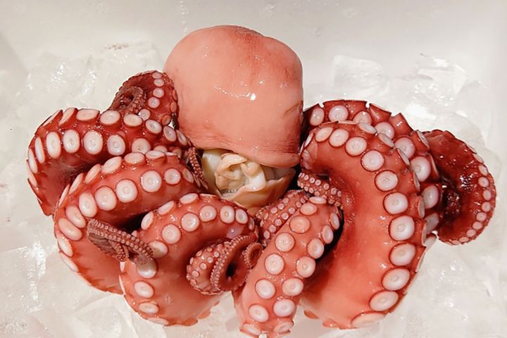 タコをゆでると赤く発色するメカニズムには諸説あり、正確には解明されていません。