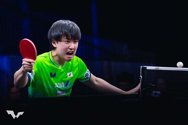 張本智和（C）WTT