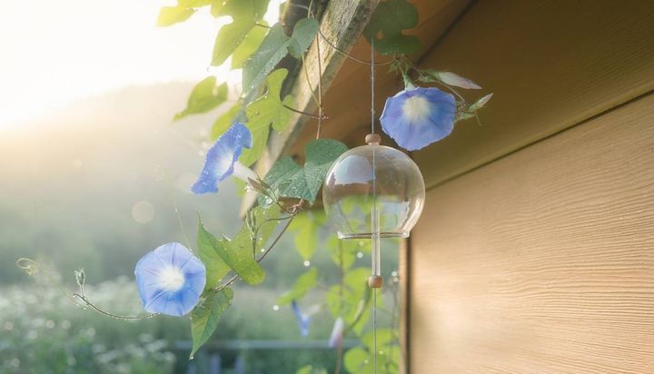 庭 運気 上がる 季節の花