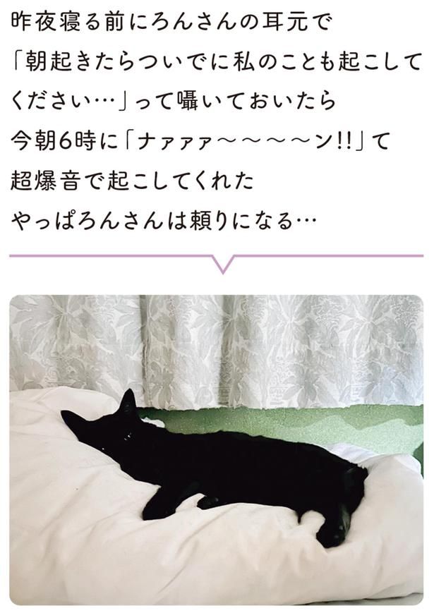 やっぱりろんさんは頼りになる…