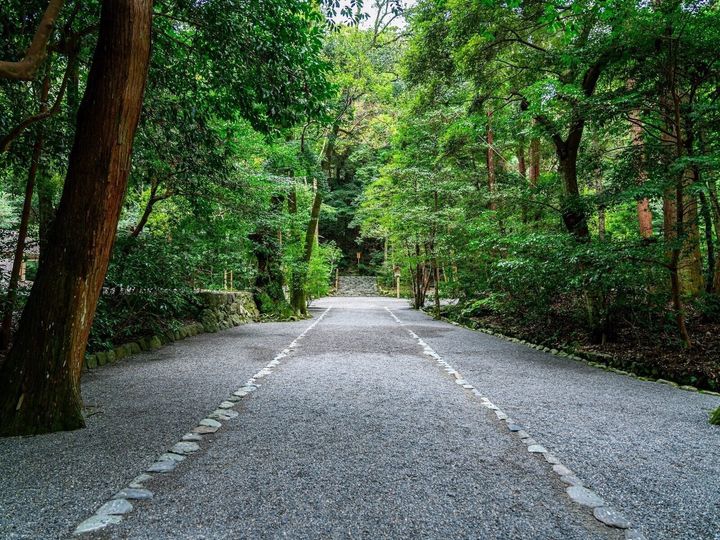 神社に行こうとしてもなぜかたどり着けない、参拝後に体調が優れない、悪い夢を見る——。そうした出来事は神社との相性が関係しているのかも……。相性が悪い神社で起こりやすい4つのサインを解説します。（画像出典：PIXTA）