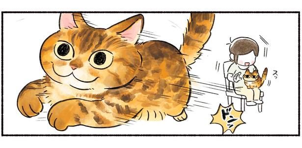 ドンッ （C）山麦まくら／KADOKAWA