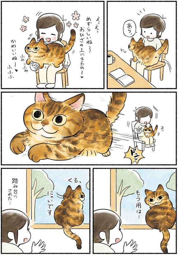 もう用は…にゃいです （C）山麦まくら／KADOKAWA