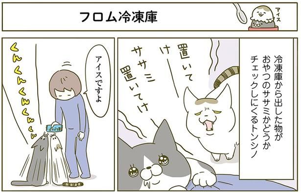 フロム冷凍庫 （C）卵山玉子／KADOKAWA