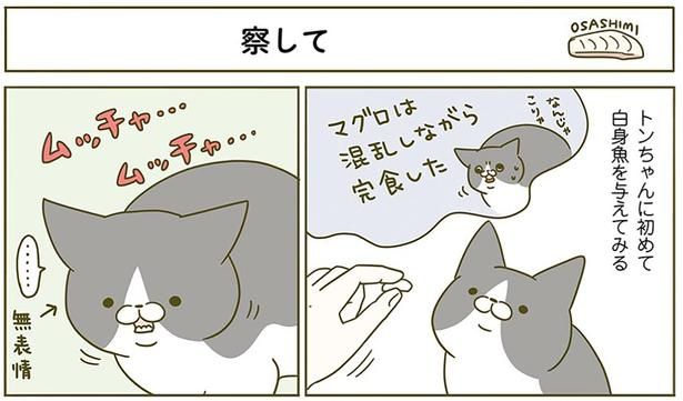 察して （C）卵山玉子／KADOKAWA