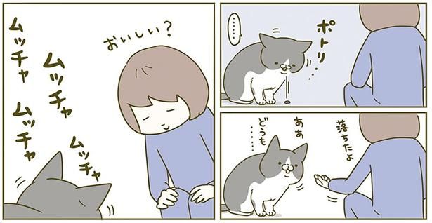 おちたよ （C）卵山玉子／KADOKAWA