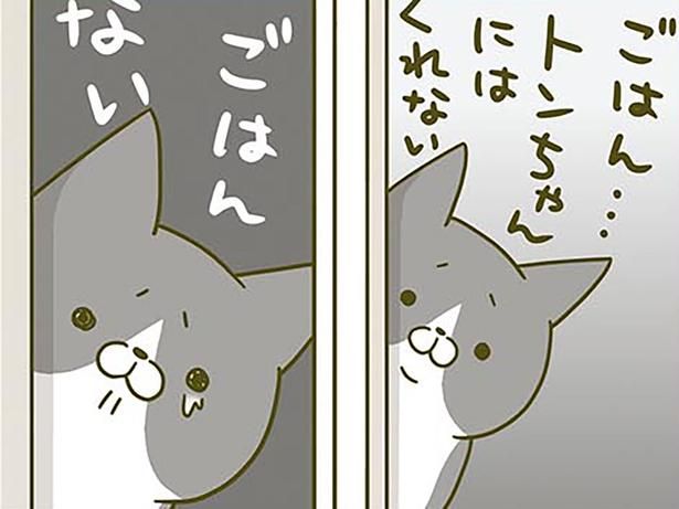 悲しそうにするけれど… （C）卵山玉子／KADOKAWA