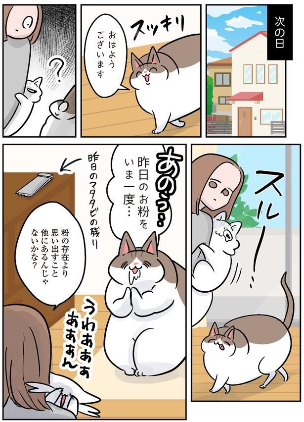 昨日のお粉をいま一度… （C）こばん／KADOKAWA